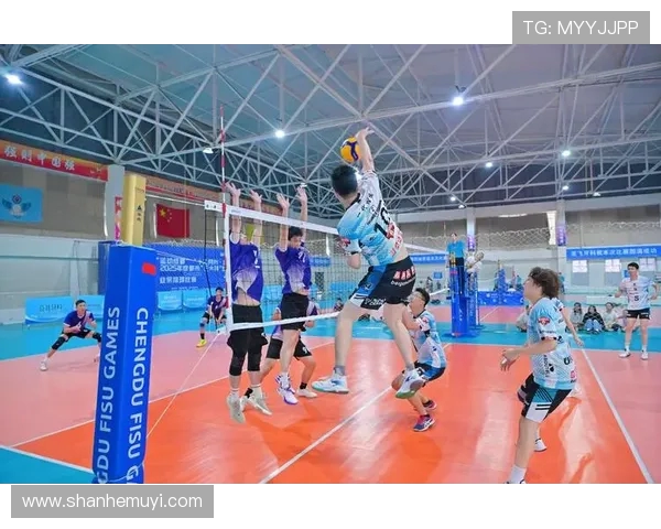 成都排球队技术深度解析与发展现状探讨