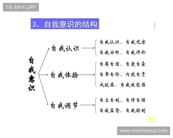 武汉网球队意识对比分析：从战术到心理的全面解读与探讨