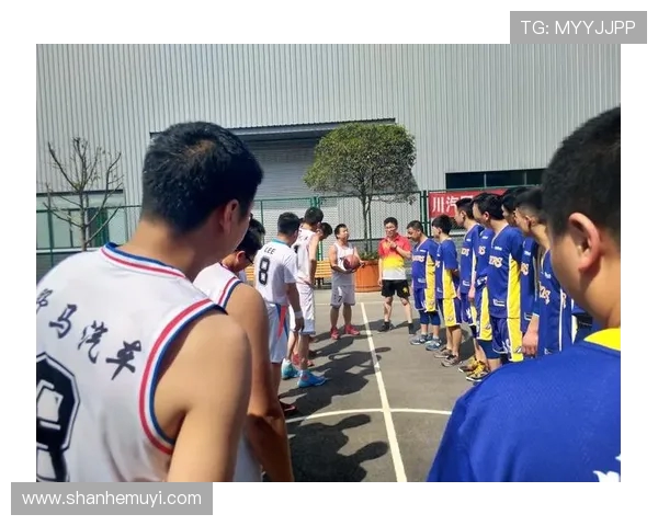 深入分析成都羽毛球队的运营策略与发展模式探讨 深入分析成都羽毛球队的运营策略与发展模式探讨