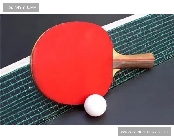 上海乒乓球队的阵地战揭秘：深度解析乒乓球的战术与技巧